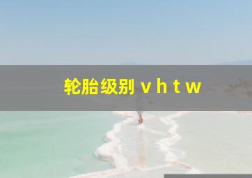 轮胎级别 v h t w